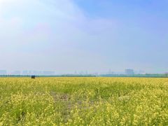 -汉长安城未央宫国家考古遗址公园