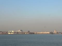 -大湾区中央湿地公园