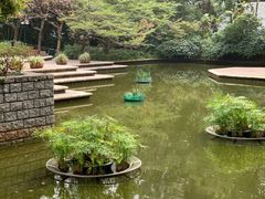 -九龙公园