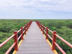 -北海金海湾红树林生态旅游区