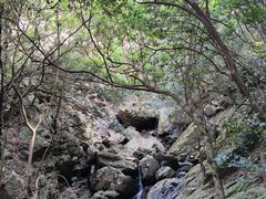 -梧桐山风景名胜区