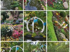 -共青国家森林公园-售票处