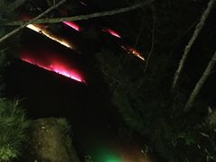 -汤旺河林海奇石景区