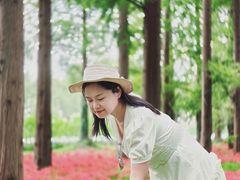 -黄海国家森林公园