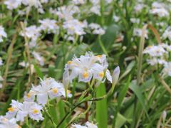 -南山风景名胜区