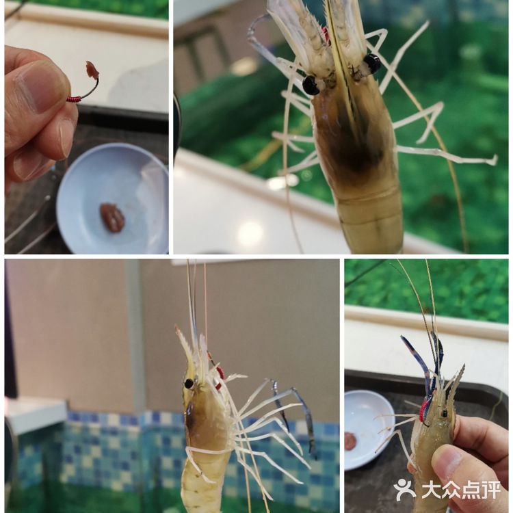 正巨虾·室内钓虾馆（大华虎城店）