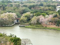 -海珠湖公园