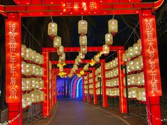 -欢乐海岸椰林沙滩-2025湾区超级灯会