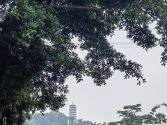 -深圳国际园林花卉博览园