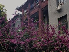 -四川大学(望江校区)