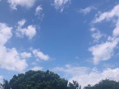 -深圳湾公园(南山区)