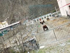 -阿坝州汶川特别旅游区