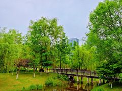 -沐仙湖湿地公园