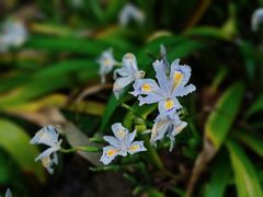 -苏州河梦清园环保主题公园