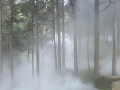 -玉苍山国家森林公园