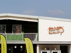 -前小桔亲子创意农场·草莓采摘·露营烧烤