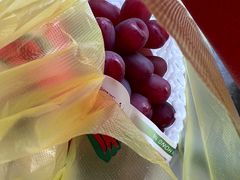 -马陆小张葡萄园农家乐