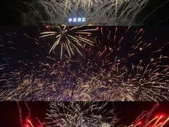 -花博汇(知音花月夜)