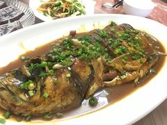 -品雅轩农家乐