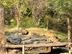 -北京野生动物园