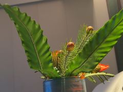 -和子足浴SPA会馆(东方之门店)