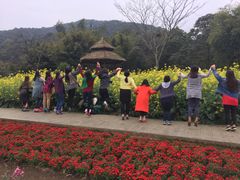 -广州市石门国家森林公园