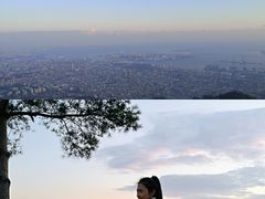 -神户市立六甲山牧场