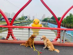 -菊园百果园