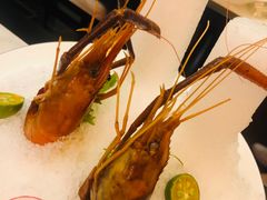 -人间采蜜(海信广场店)