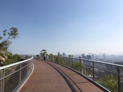 -板樟山森林公园