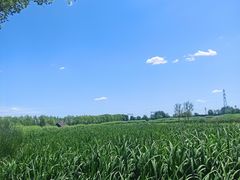 -永定河休闲森林公园