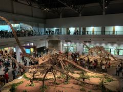 -自贡恐龙博物馆