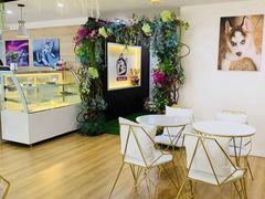 -Husky Go! 哈士奇体验馆·宠物咖啡厅狗咖