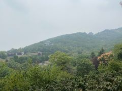 -石老人观光园