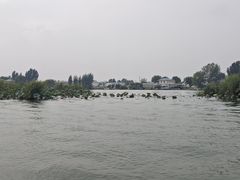 -白洋淀景区