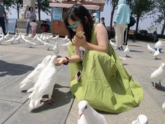 -天津妈祖文化园