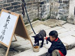 -羊楼洞