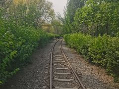 -西青郊野公园