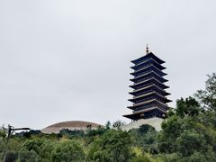 -牛首山文化旅游区