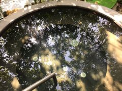 -碧桂园润杨溪谷温泉酒店