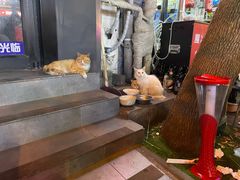-同来顺烧烤餐厅(哈尔滨道店)