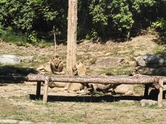 -北京野生动物园