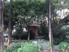 -黄埔荔枝公园