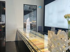 -BLACKSWAN黑天鹅(环球店)