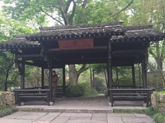 大堂-法云安缦酒店