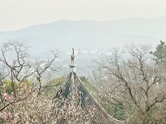 -香雪海