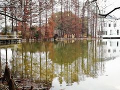 -华南国家植物园-售票处