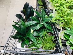 -鹿岛会员店 (龙湖三千集天街店)