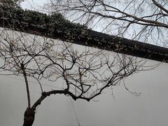 -南京市民俗博物馆(甘熙故居)