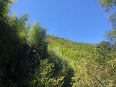 -山沟沟景区